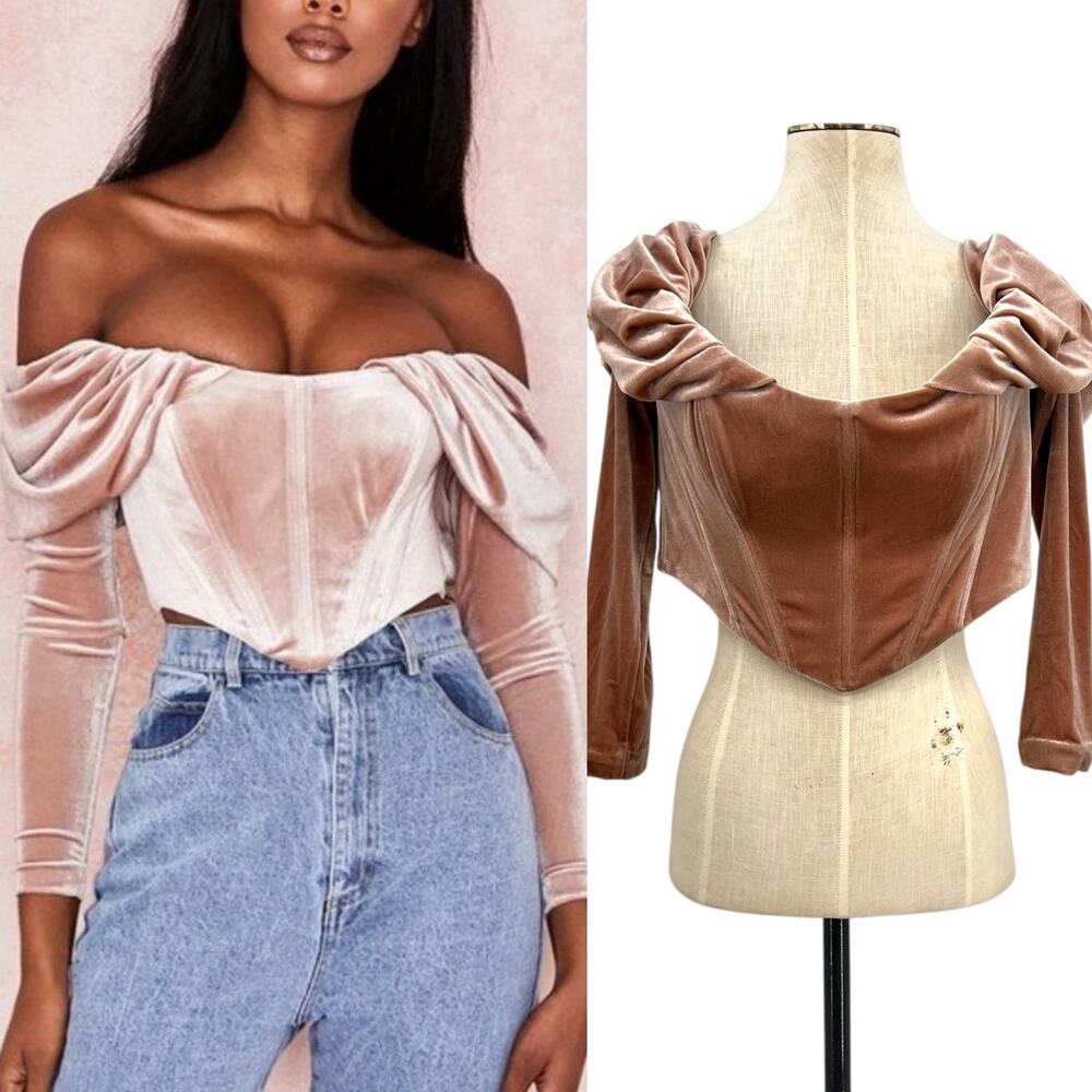 House of CB Holly Pink Velvet Bustier Corset Top Long Sleeve Size Large
